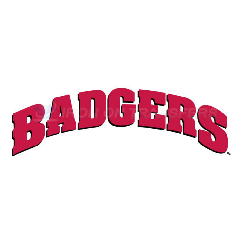 Wisconsin Badgers Logo T-shirts Iron On Transfers N7026 - Click Image to Close